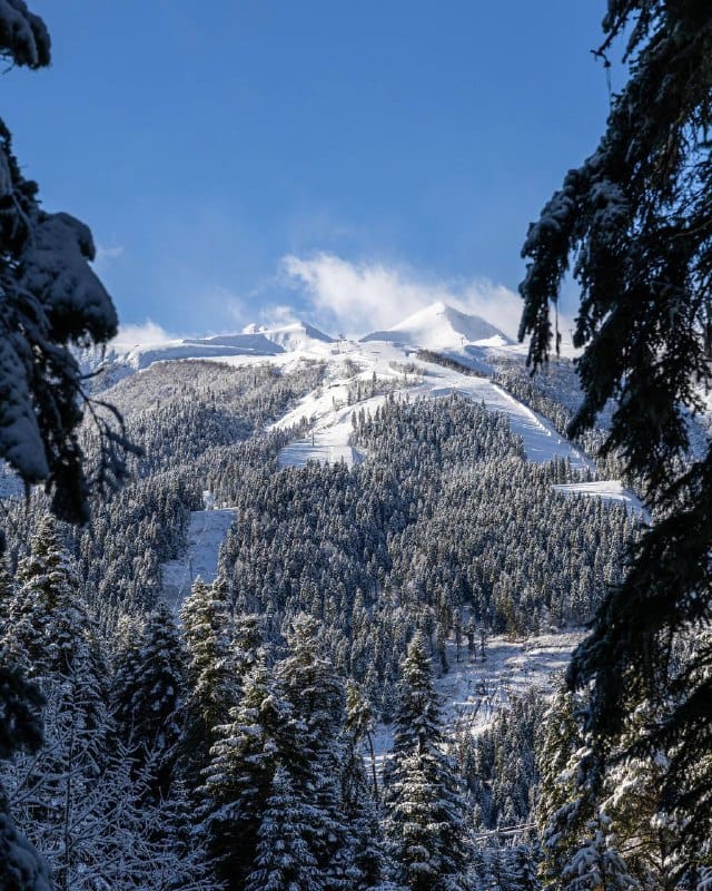 🏔️ Доброе утро!   
  
Сегодня 8 декабря, воскресенье, на курорте Архыз доступны:  