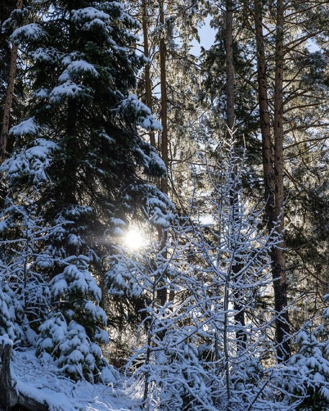 🏔️ Доброе утро!   
  
Сегодня 9 декабря, понедельник, на курорте Архыз доступны:  